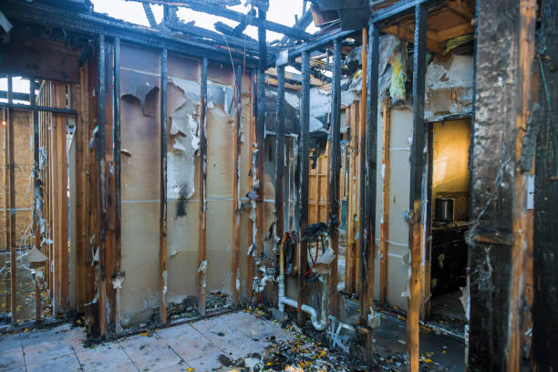 Professional Fire Damage Repair technician working in Tracyton, WA